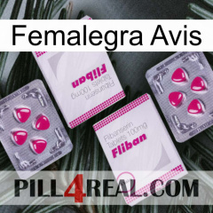 Femalegra Avis 33